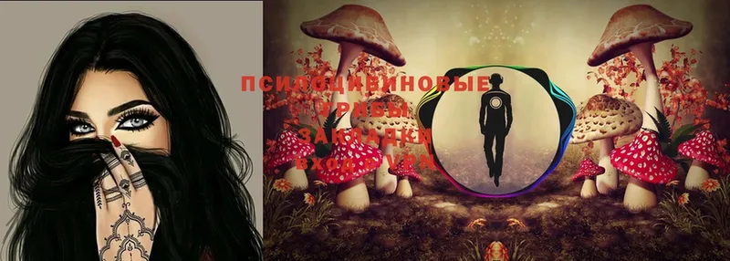 Галлюциногенные грибы MAGIC MUSHROOMS  Белоярский 